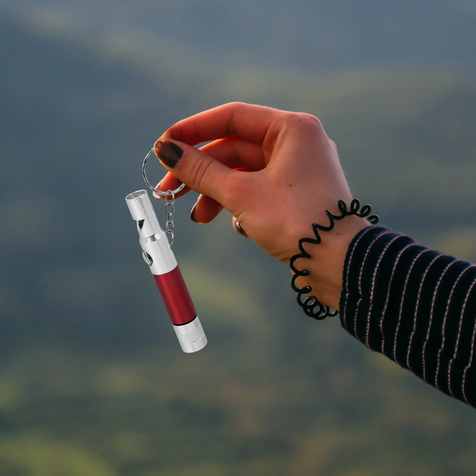 2Pcs Emergency Survival Whistl - đánh giá và giá Emergency Whistle Loud